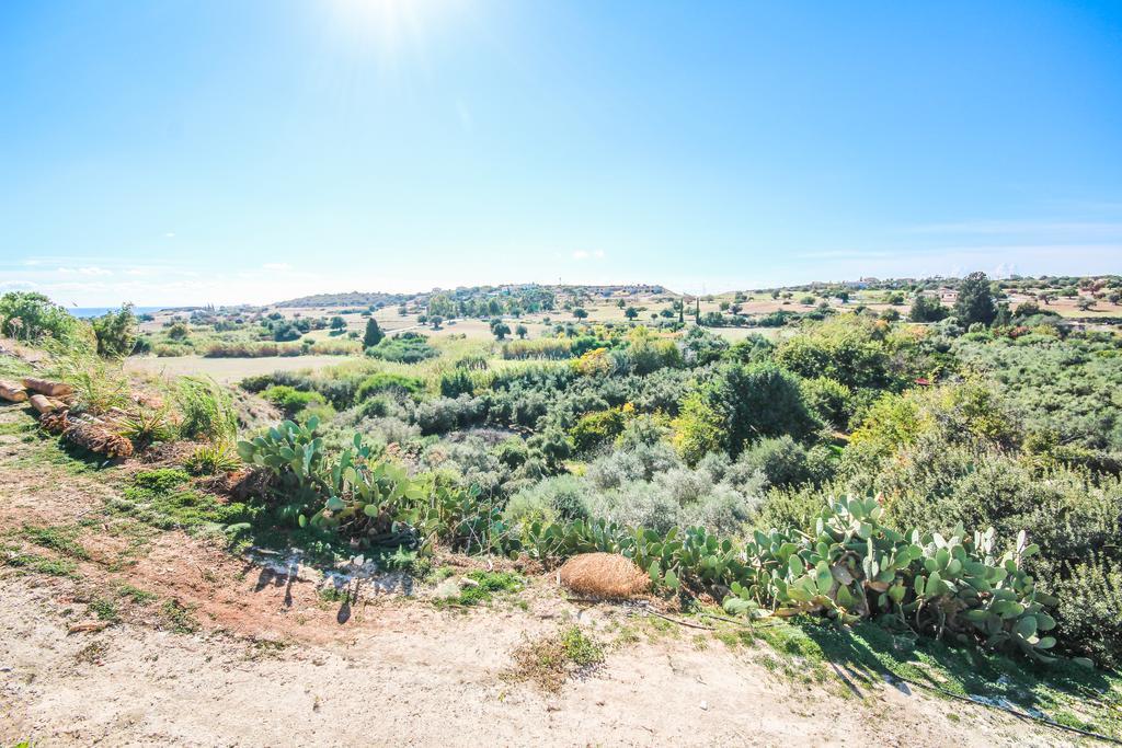 Orchard View Cottage Maroni Exterior foto